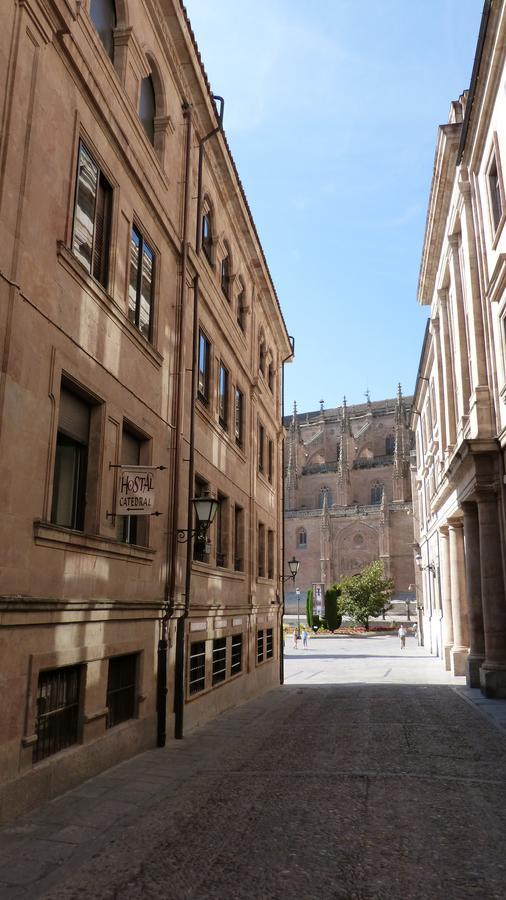 Catedrales De Appartement